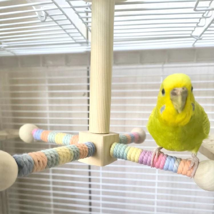 Funny Perches Toy with Rotating Ball Wooden Parrots Ferris Wheel Toy with Perches Windmills Toy For Parakeets Cockatoos