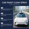 Hydrophobic Car Paint Protection Nano Spray Anti Rust UV Resistant Sealant For Vehicle Exterior Care and Shine