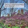 Deep Learning English Paperback Book