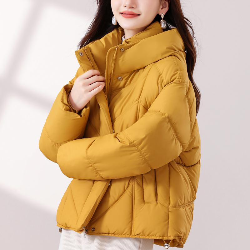 Fashion Winter Jackets Woman Short Parkas Hooded Plus Size Loose Thick Warm Outerwears Women's Coats