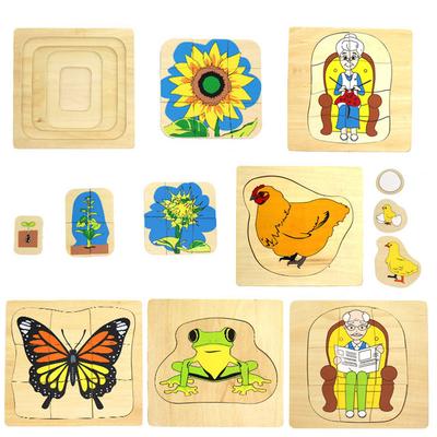 Montessori Animal And Plant Growth Puzzle Character Puzzle Kindergarten Early Education Teaching Aids Educational Enlightenment Toys Wooden