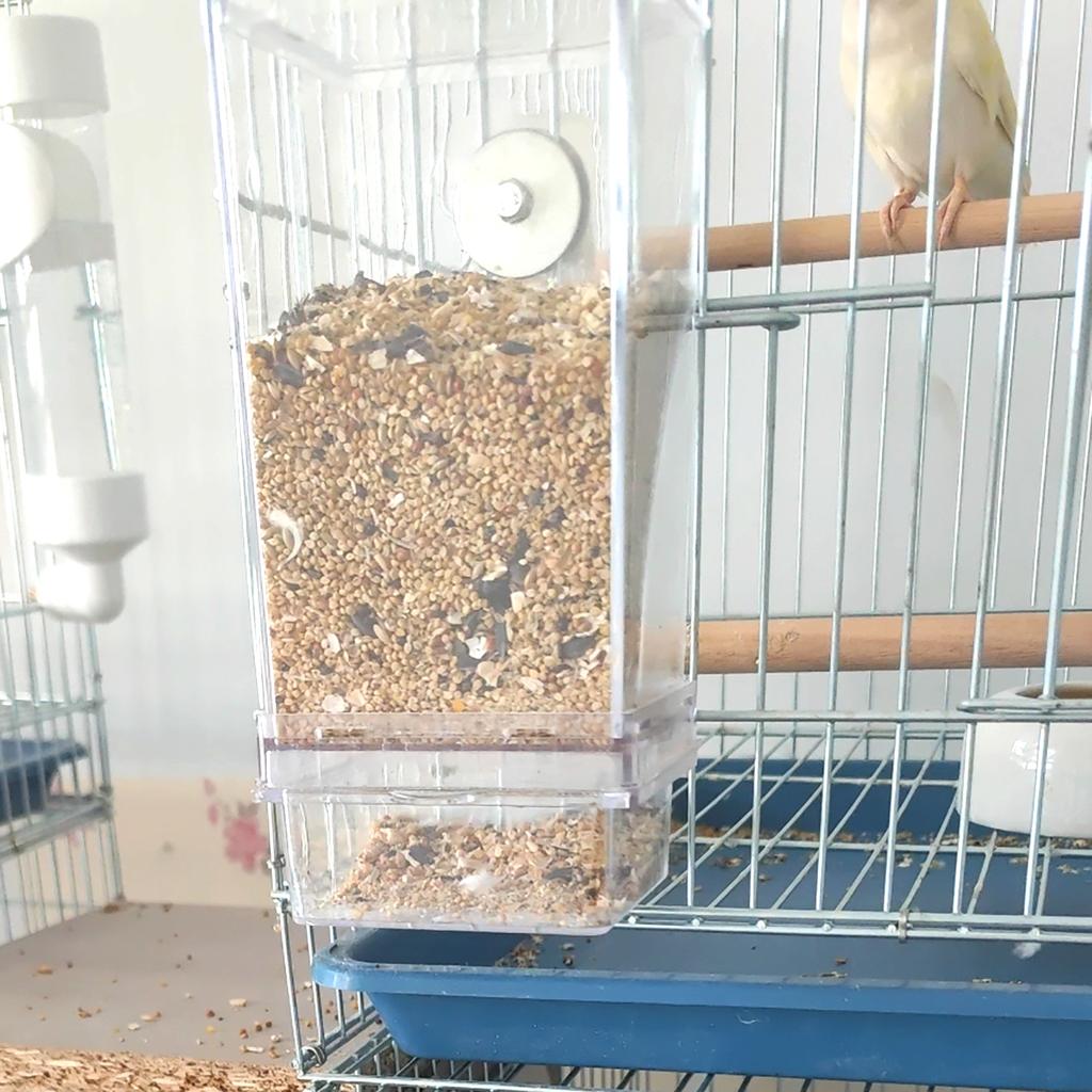 Automatic Bird Feeder No Mess Bird Feeder Parrot Feeder Drinker Food Container For Perch Budgerigar Parakeets Bird Cage Supplies