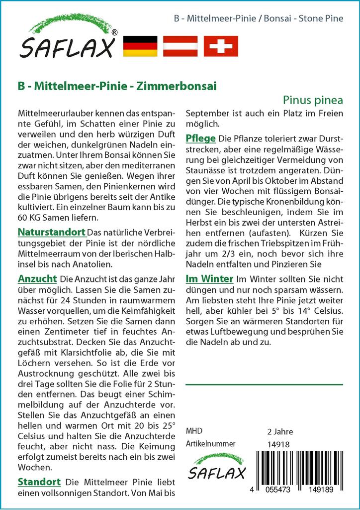 SAFLAX Garden In the Bag - Bonsai - Stone Pine - 6 Seeds - With Substrate In a Fitting Stand Up Bag - Pinus Pinea