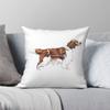 Funda de almohada cuadrada para perro Welsh Springer Spaniel Polié Lino Terciopelo Cremallera Creativa Funda de almohada decorativa Funda para cojín de coche