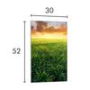 GLAS-SCHNEIDEBRETT 30x52 Aussicht