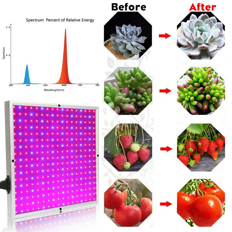 1200w Growing Lamps LED Grow Light 289 LEDS Full Spectrum for Greenhouse Indoor Hydroponic Plant Seedling Flower
