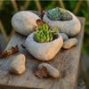 Literary and Creative Small Flowerpots Imitation Pebbles Irregular Desktop Combination Succulent Flowerpots Green Plants