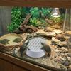 Plastic Turtle Poop Collector Basking Platform Reptile Waste Container  Turtle Tank