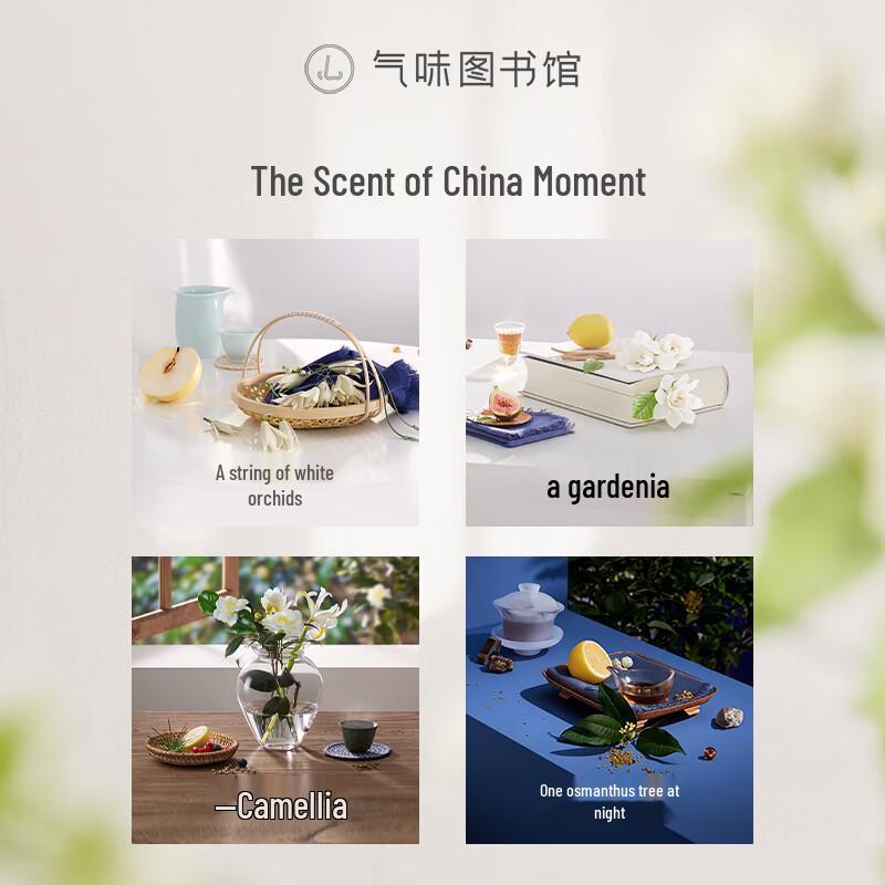 Scent Library Magnolia Fragrance Body Lotion