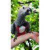 Anti Dirty and Anti Fouling Parrot Flight Suit Adjustable Medium and Large Parrot Going Out Suit with Diaper Parrot Accessories
