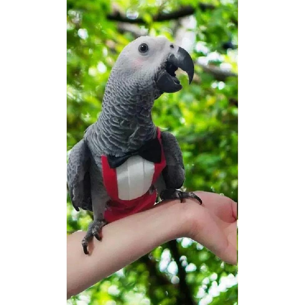 Anti Dirty and Anti Fouling Parrot Flight Suit Adjustable Medium and Large Parrot Going Out Suit with Diaper Parrot Accessories