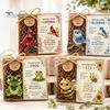 Desktop-Meditationsdekoration Emotionale Unterstützung Tier aus Glas Geschenk, Süßer Taschenkuss Kolibri, Schildkröte, Motivierendes Fürsorgepaket Frosch, Biene mit