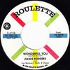 7inch Record JIMMIE RODGERS JOE REISMAN  HIS O  Wonderful You R4158 Roulette 1959 US CountryFolk Used