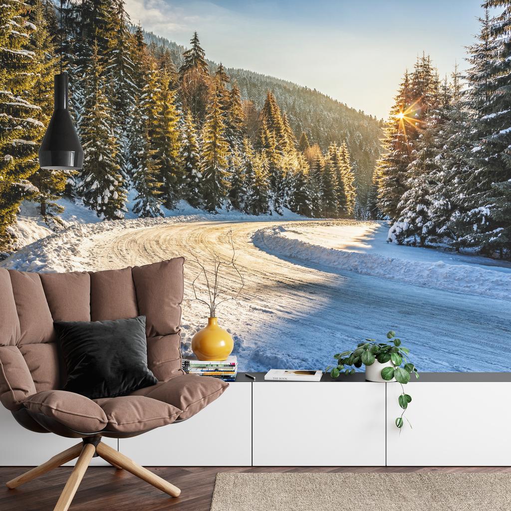 Photomural Winter Forest Smooth Vinyl 360x240