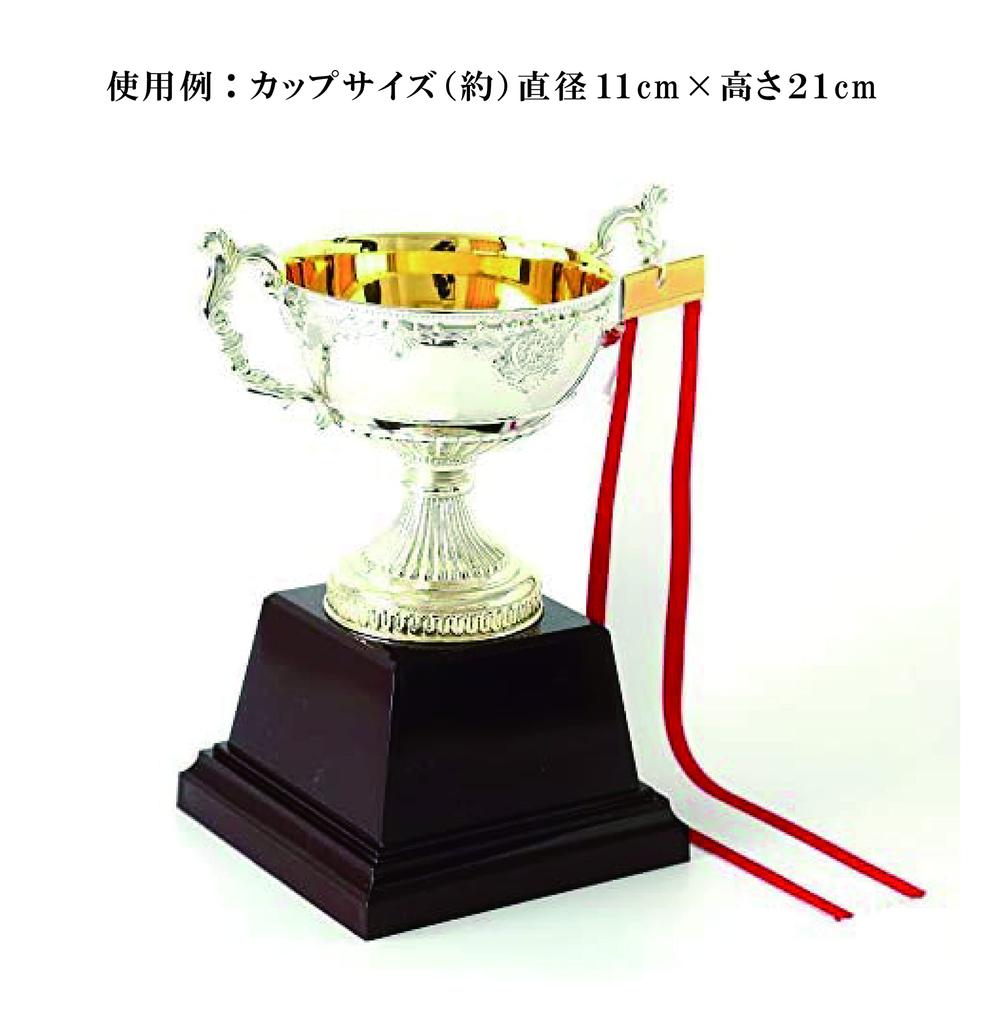 Red Selvedge Pennant Ribbon 3.8cm X 30cm with Smudge-Resistant Pen Included. Trophy Cup, Winner, Excellence, Golf Award, Celebration, Ceremony (20)