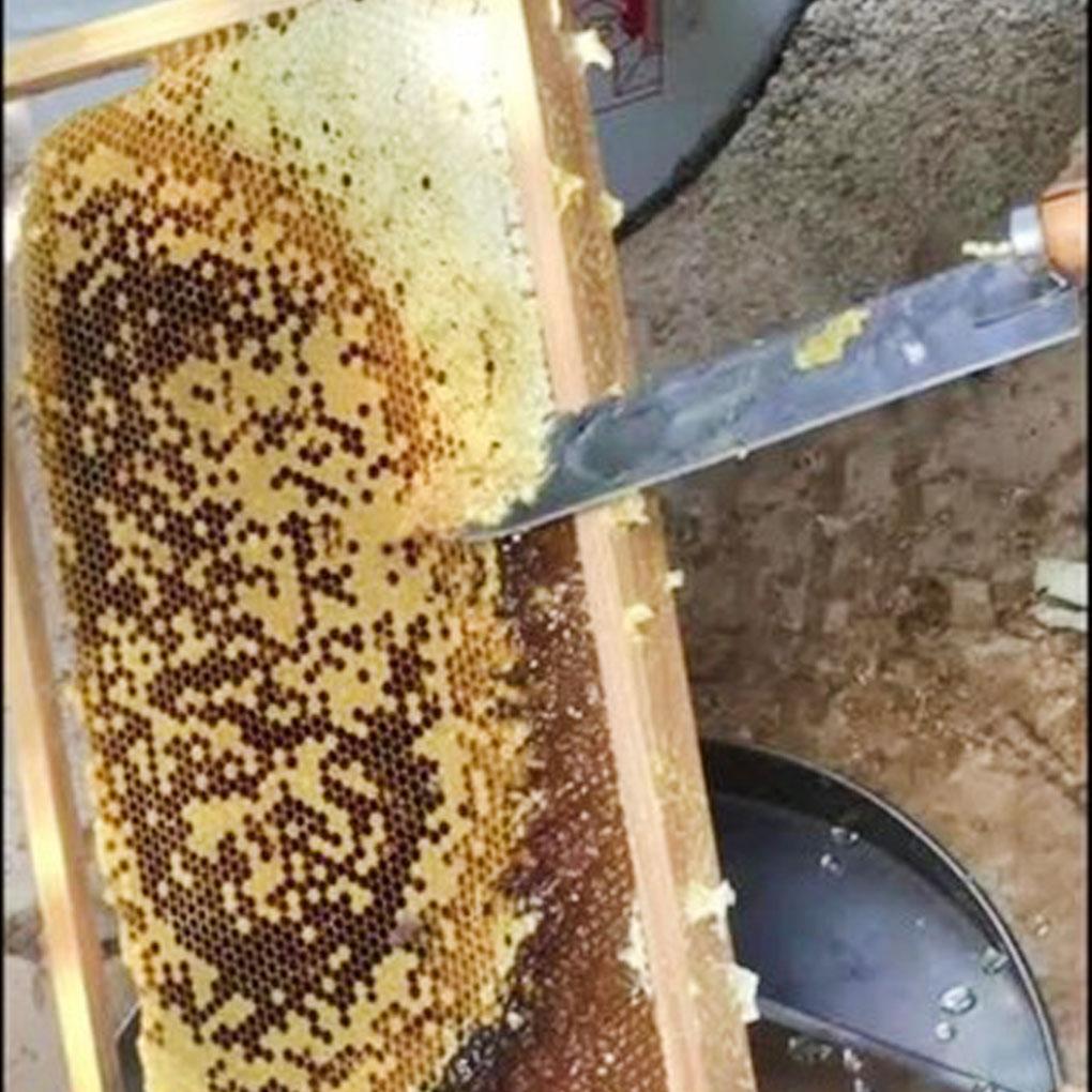 Z-Shape Honey Scraper Stainless Honey Uncapping Tool Beekeeper Long Beehive Cleaning Scraper