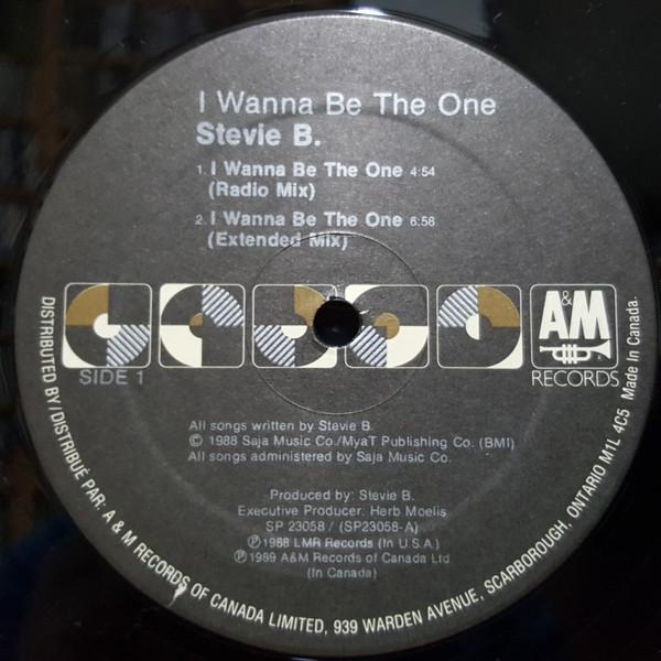 

12inch Record STEVIE B - I Wanna Be The One SP23058 A&M Records 1988 Canada Dance & Electronica Used