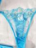European & American Mesh Floral Embroidery Underwire Push-Up See-Through Temptation Lingerie Stocking Set.