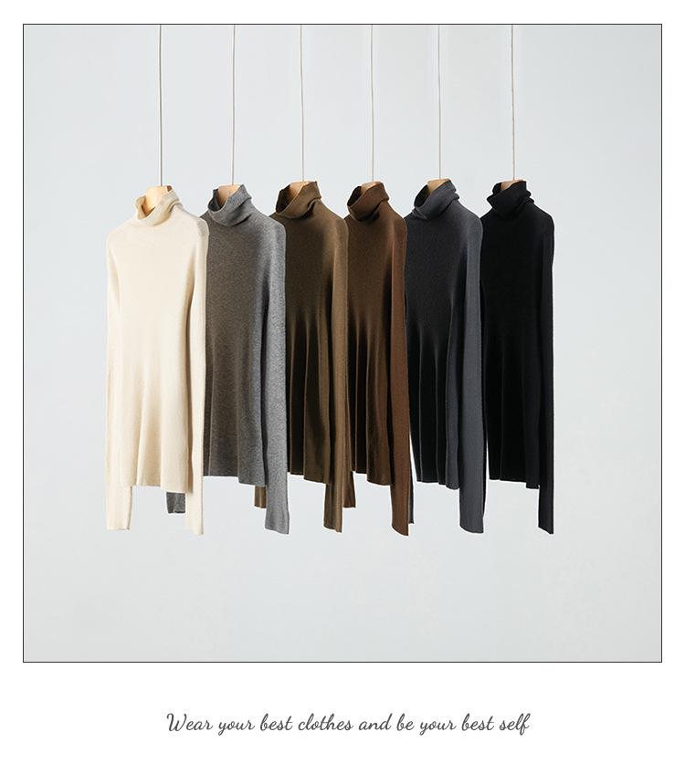 Early Autumn Cashmere & Mulberry Silk High-Neck Slim Fit Knitted Sweater for Women