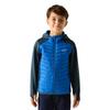 Regatta Childrens/Kids Andreson Hybrid Jacket