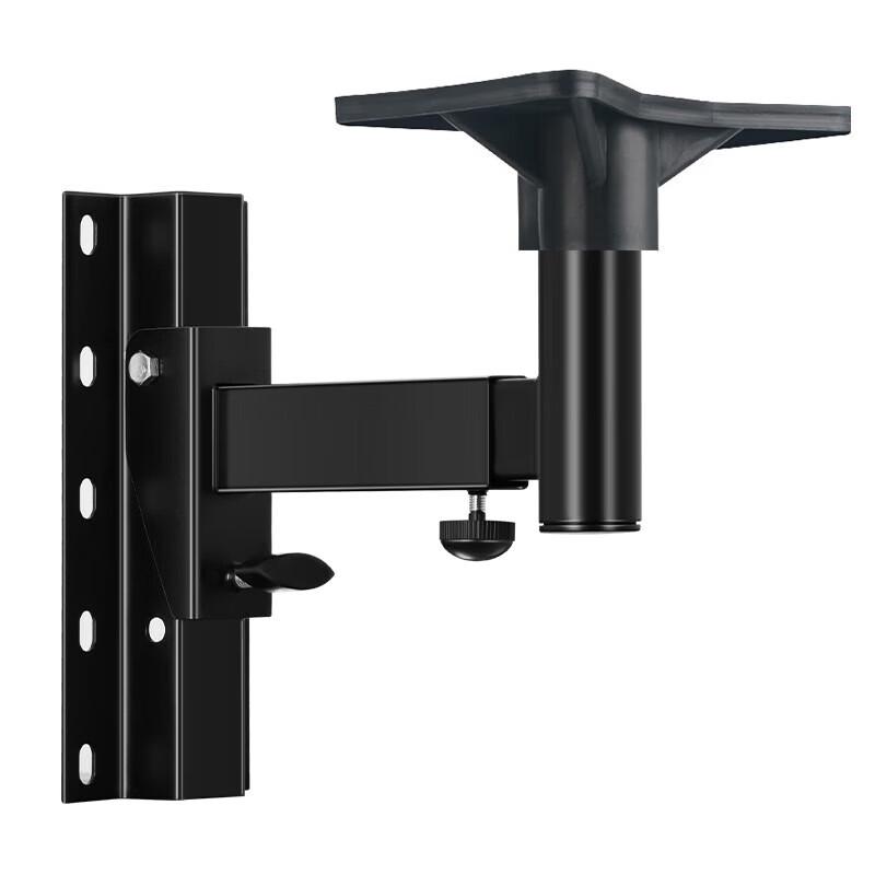 SAST Professional Speaker Wall Mount Bracket