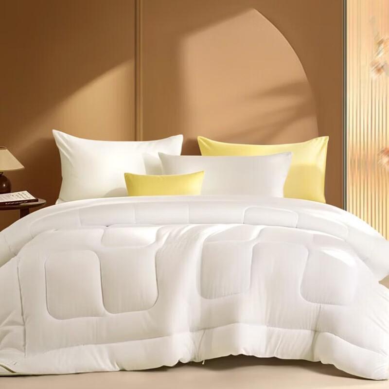 FUANNA Cozy Warm Fiber Winter Quilt