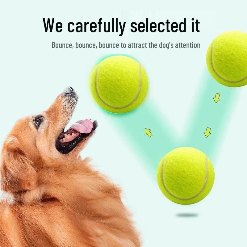Elastischer Rückprall Tennisball Spielzeug für Welpen Zahnung und Outdoor-Training
