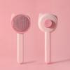 Pet Comb with Retractable Stainless Steel Needles Grooming Brush Removes Loose Hair Massage Brush for Cats And Dogs