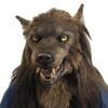Venetian Party Eagle Mask Simulation Animal Wolf Mask Halloween Hood Mask  Party Makeup Ball