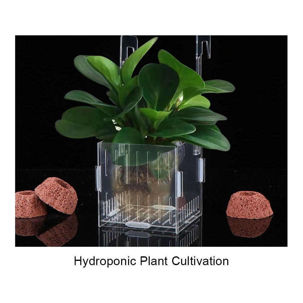 1 Pièce Petite Boîte d'Isolation d'Aquarium pour Poissons Rougeurs, Boîte de Reproduction Transparente pour Accouplement et Éclosion, Séparateur d'Élevage en Acrylique, Boîte pour Plantes Hydroponiques