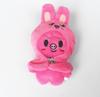 Skzoo 10Cm Plush Keychain Stray Kids Fm Bean Eye Cloak Doll Mini Plush Doll Cloak Doll Clothes Square Can Backpack Pendant