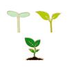 Alfinetes e joias