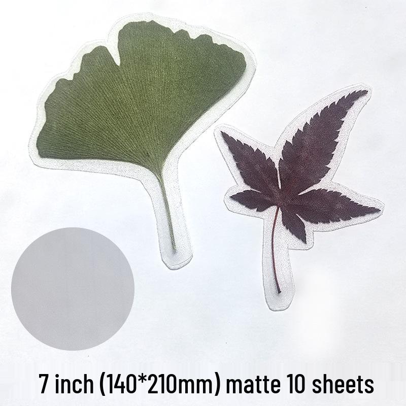 Self-Adhesive Cold Laminating Film - 6 Inch, A4, A6 for Photos, Bookmarks, and Leaf Specimens