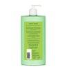 Biotique Fresh Neem Anti Dandruff Shampoo and Conditioner | Controls Dandruff | Eliminates Dryness, Flaking, and Itching | Hair Looks Fresh and Lu
