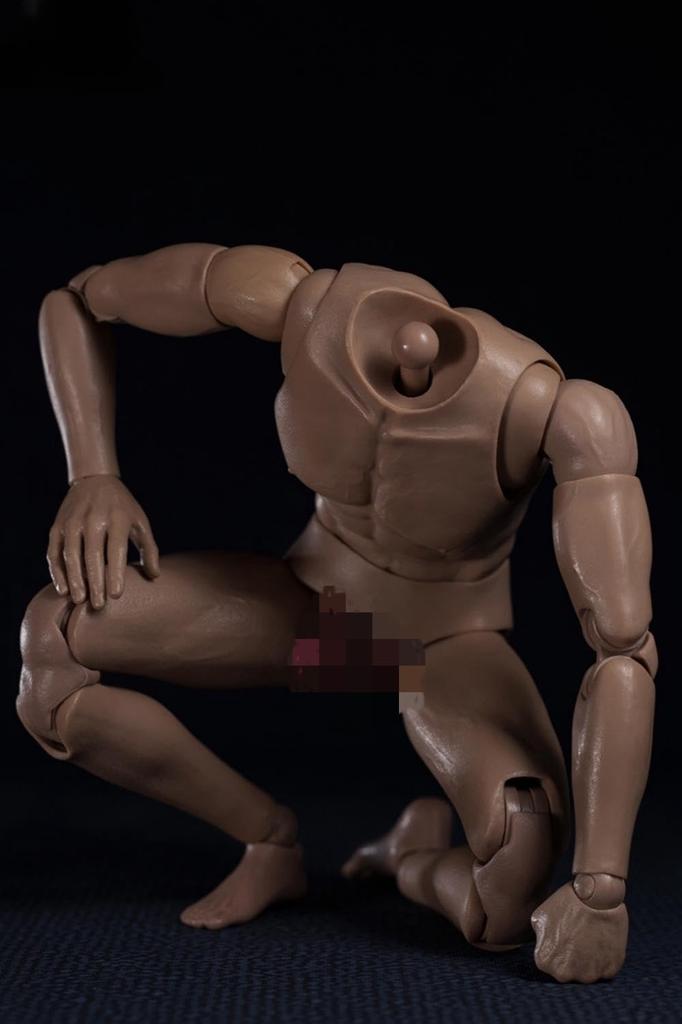 HiPlay WorldBox 1/6 Scale Male Figure Body with Head Connector, Highly Durable and Articulated, AT020