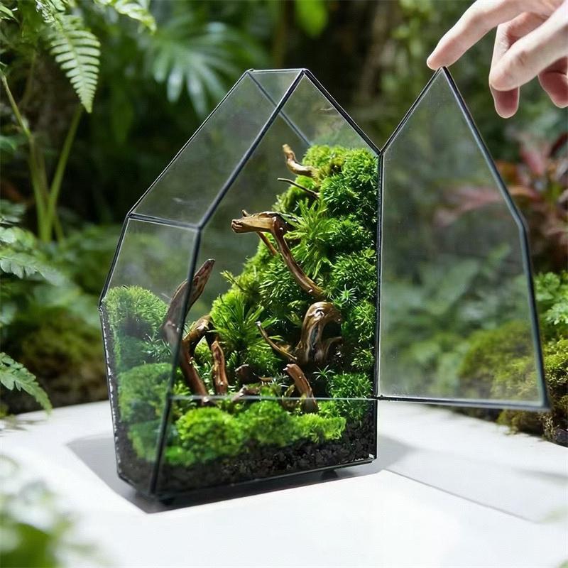 

Micro Landscape Moss Fern Geometric Glass Terrarium with Door Tabletop Vases Succulents Planter Container Desktop Greenhouse