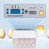 Automatic Egg Incubator 16 Eggs