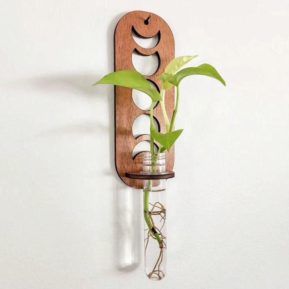 Plant Storage Rack Wall Hanging Vase Hydroponic Containe Hanging Planter  Home/Office Decor