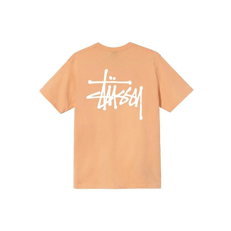 Stussy SS21 Tee Unisex 1904649