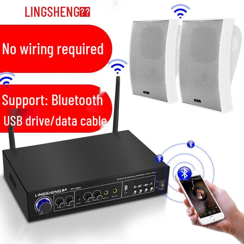 Lingsheng Wireless Bluetooth Power Amplifier with Wall Speakers CN Plug (adapter Included)