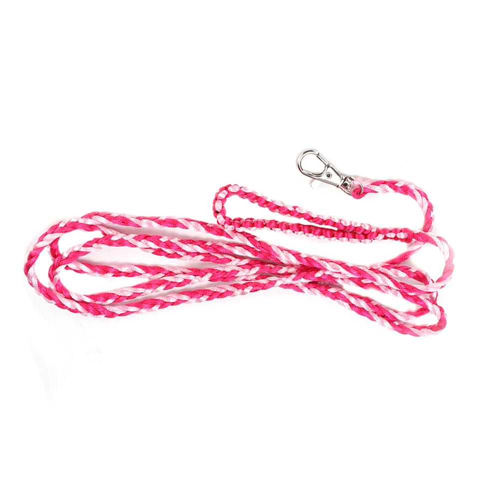 Kleintier Eichhörnchen Hamster Meerschweinchen Outdoor Leine Spaziergang Training Geschirr