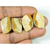 Natural Picture Jasper Matched Pair 02Pcs Fancy Shape Loose Gemstone 21-24MM SK-1512