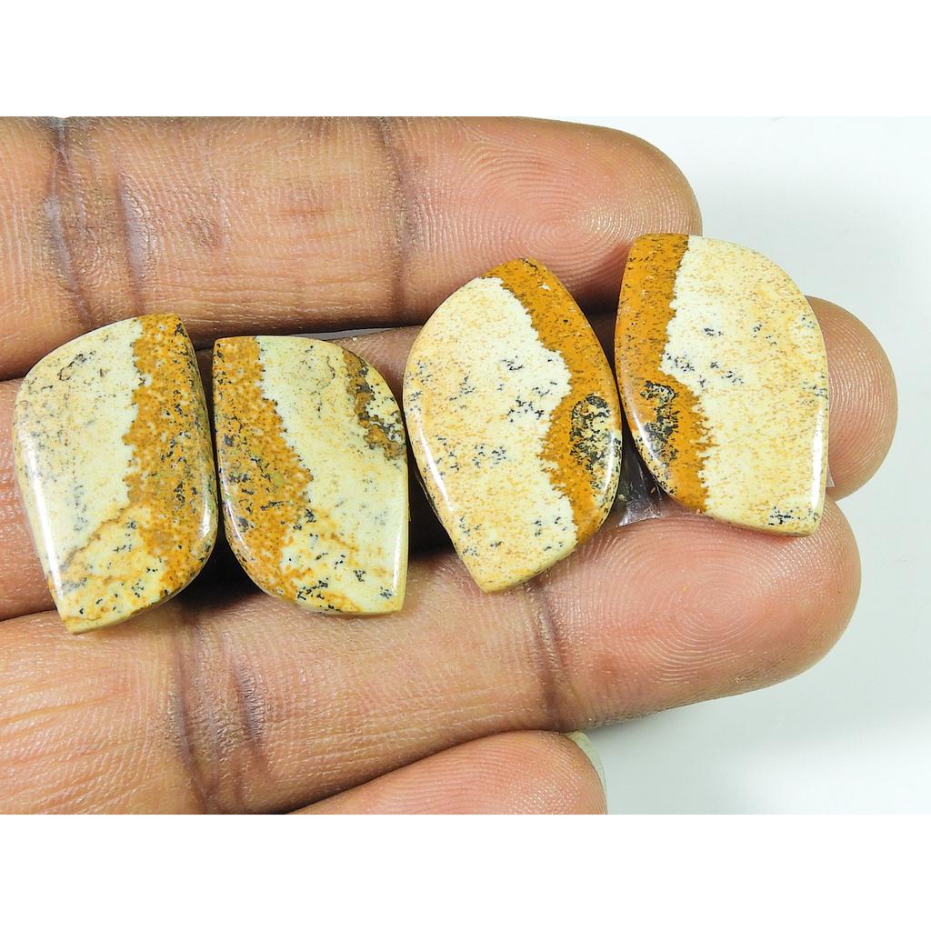 Natural Picture Jasper Matched Pair 02Pcs Fancy Shape Loose Gemstone 21-24MM SK-1512
