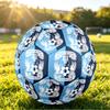 Coventry City FootballPrinted Size 5 Soccer Btball, Anti Slip Adult Match Football Souvenir for Football Fans