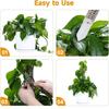M-Modern-Stackable Transparent Plastic Moss Pole For Plants Monstera , Indoor Plant Accessories Support Stakes, Plant Stakes