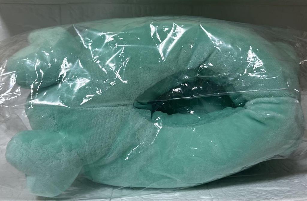 [USED] TWICE LOVELYS Plush Slippers Mina GIGO Oncra