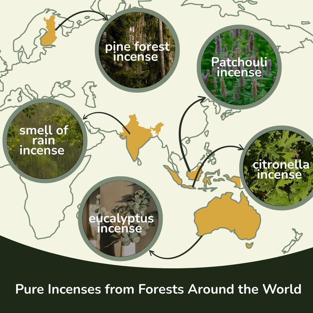 Tropical Forest Incense Variety -Incense Stick - (5 Scents, 60 Sticks) Charcoal Free Inscents-Sticks