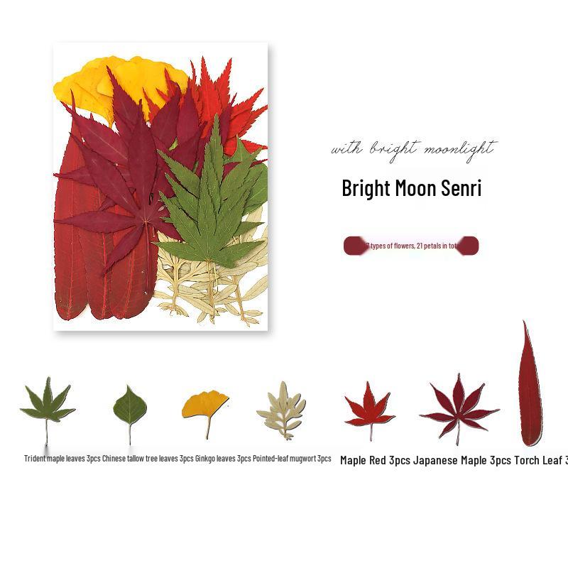 Handmade Resin Pressed Flower Bookmark DIY Kit: Transparent Specimen Stickers & Dried Flowers for Students