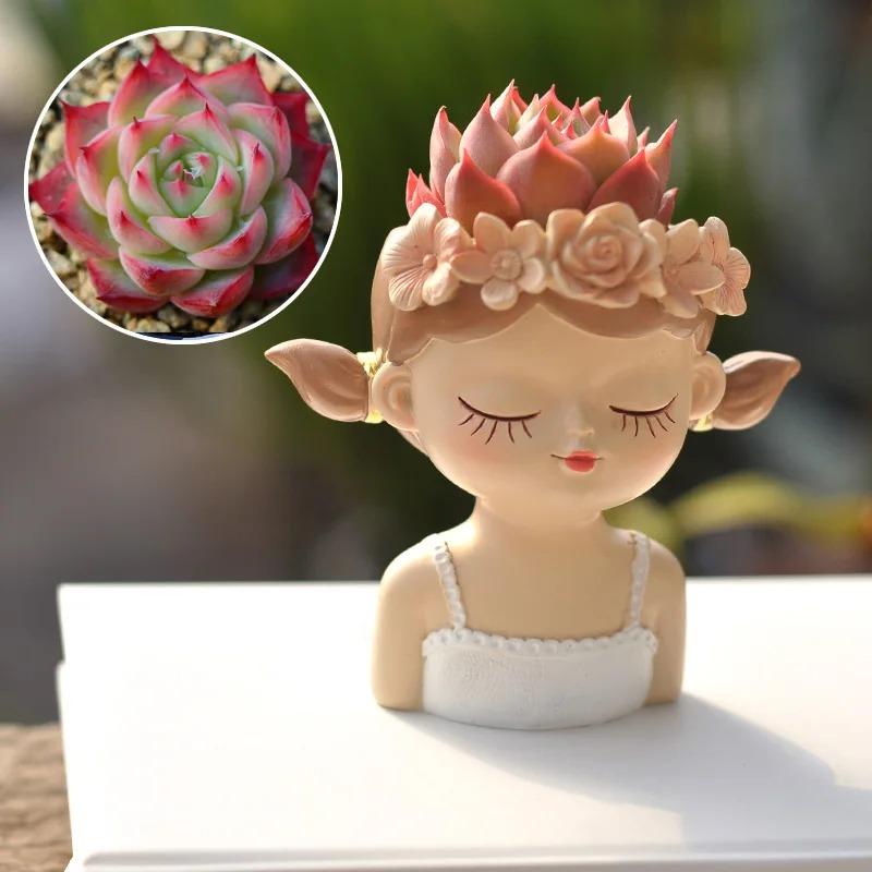 Fairy Succulent Flowerpot Desktop Ornament Succulents Plant Potted Green Plants Vase  Home Gardening