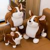 Niedliches Corgi Plüschtier Entzückende Stofftierpuppe für Kinder Weiches Teddybär Spielzeug Geburtstagsgeschenk für Mädchen 23cm Höhe